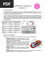 Estructura y función de cápsulas bacterianas | PDF | Las bacterias ...