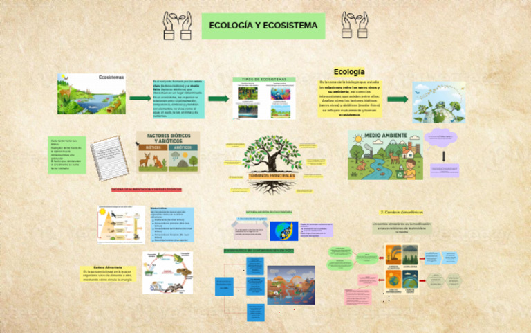 Ecología y Ecosistemas: Conceptos Clave | PDF | Ecología | Tierra