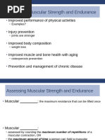 Bullworker X5 Exercise Guide | PDF | Muscle | Heart