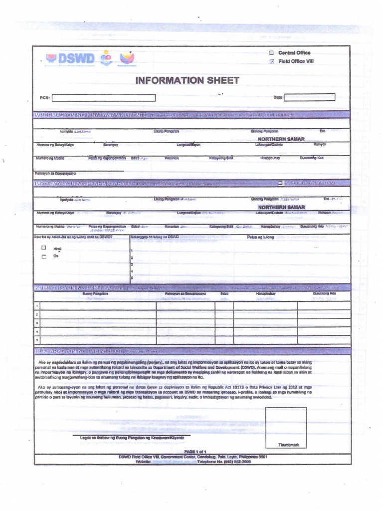 Information Form AICS | PDF