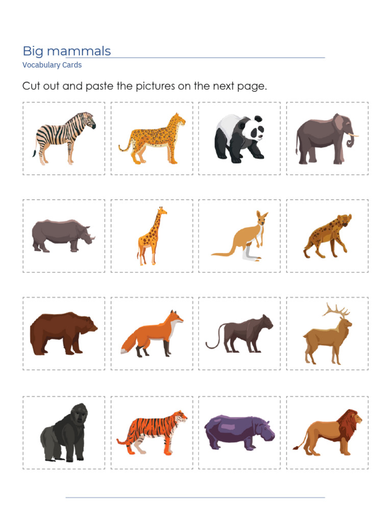 Animal Words PDF | PDF | Pet | Organisms