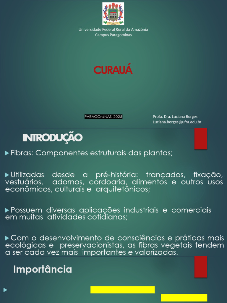 Cultivo e Benefícios do Curauá na Amazônia | PDF | Agricultura | Solo