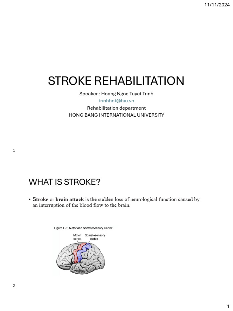 Stroke Rehabilitation Overview and Techniques | PDF | Anatomical Terms ...