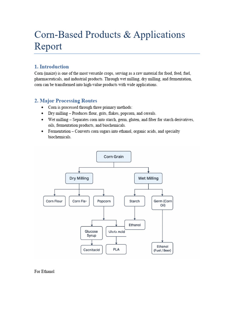 Corn Processing and Food Applications | PDF | Fermentation | Maize
