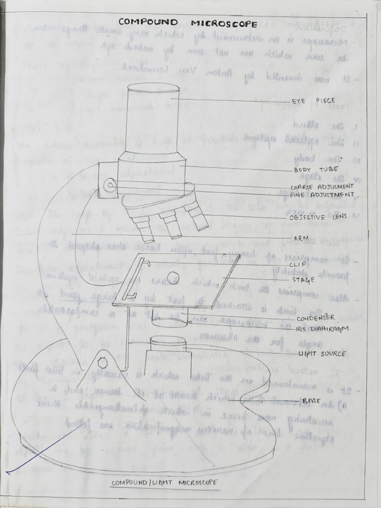Microbiology Practical Pdf