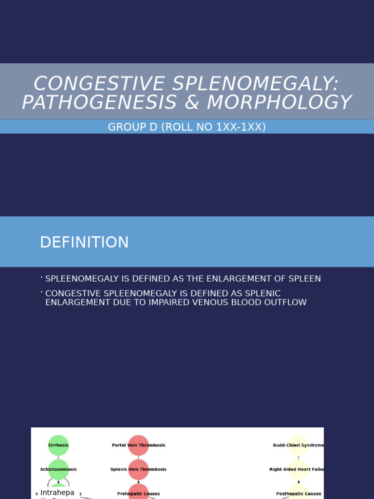 Chronic Congestive Splenomegaly Overview | PDF