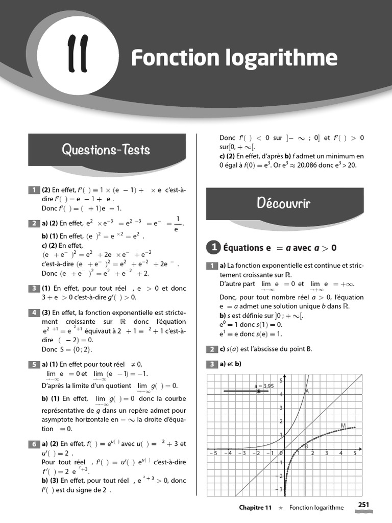 Comprendre la fonction logarithme | PDF | Limite (mathématiques ...
