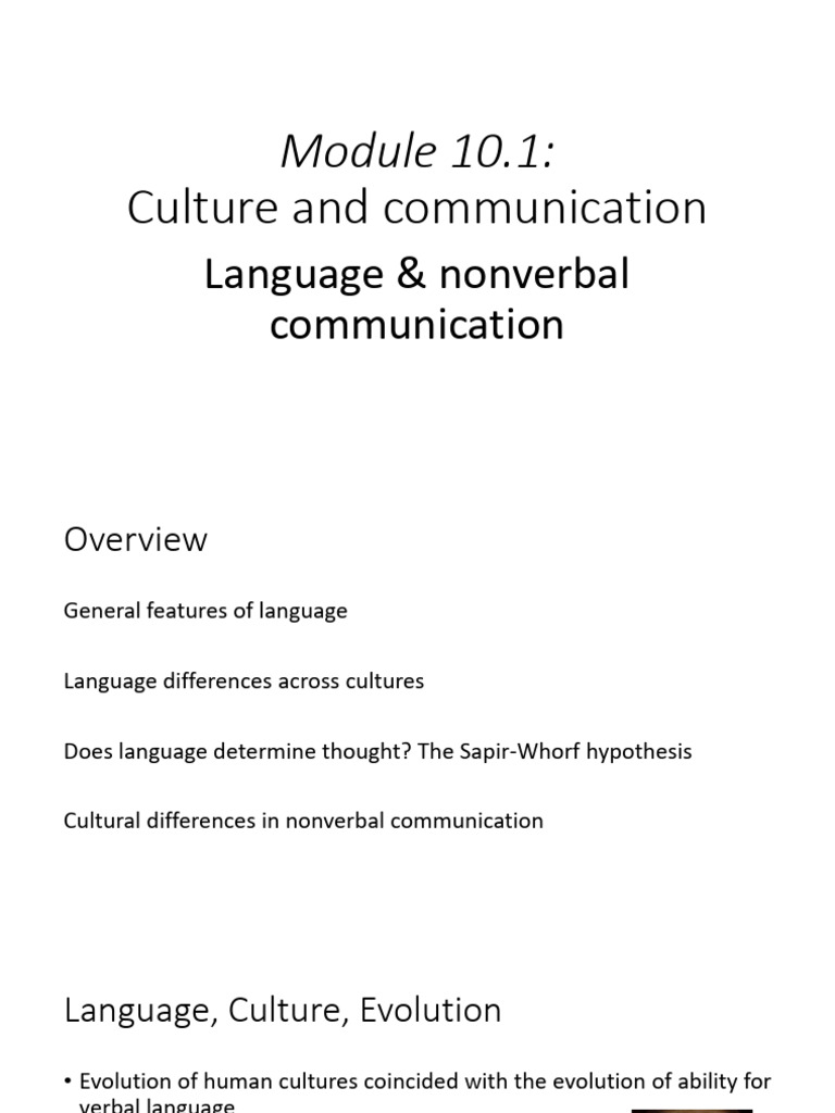 Culture and Communication Dynamics | PDF | Nonverbal Communication ...
