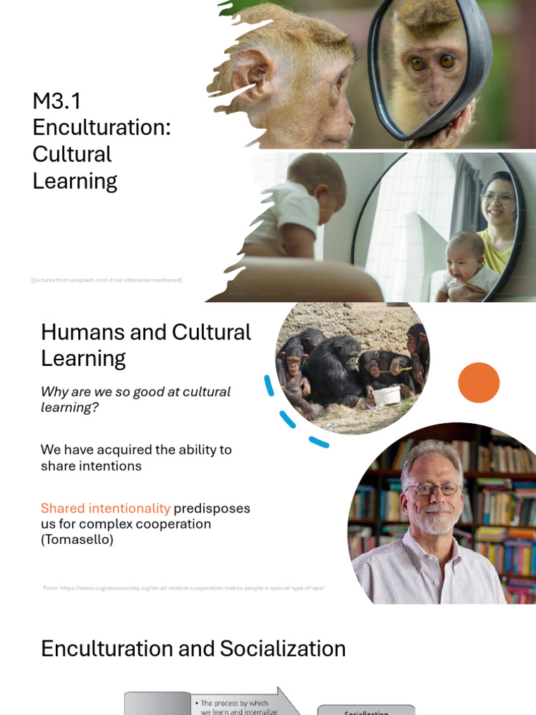 Slides - M3.1 Enculturation Cultural Learning | PDF