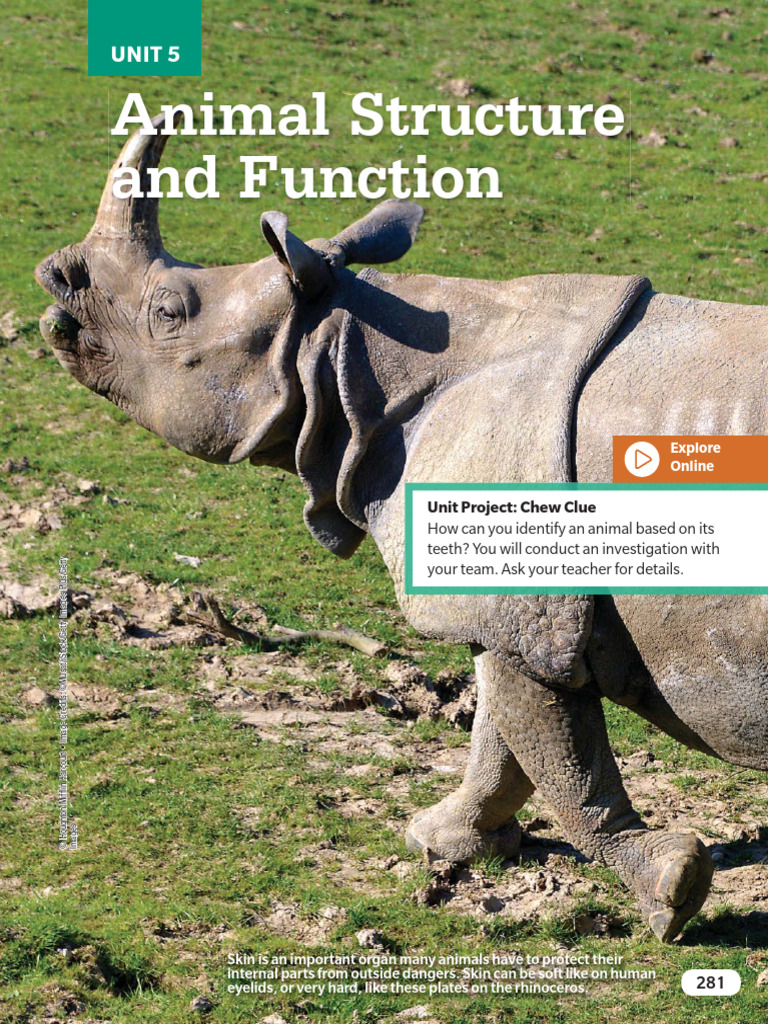 Animal Internal and External Structures | PDF | Zoology