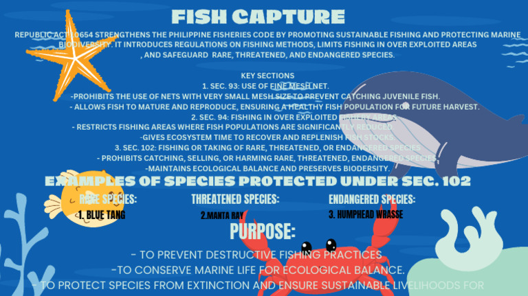 Fish Capture - 20250831 - 172530 - 0000 | PDF