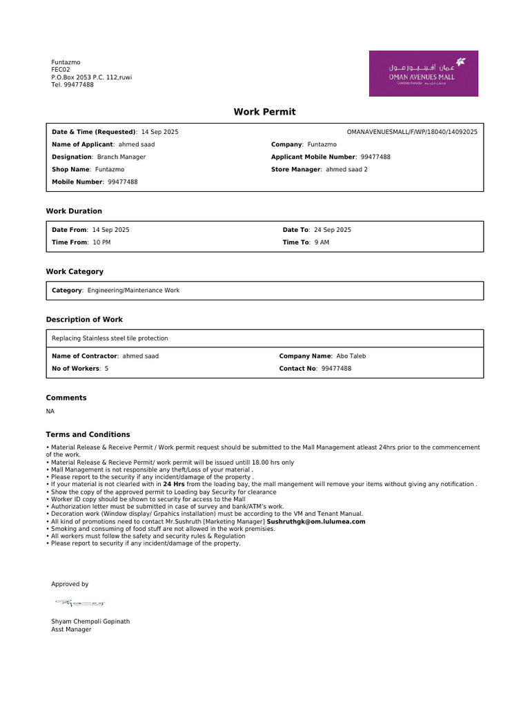 Funtazmo Work Permit Details | PDF