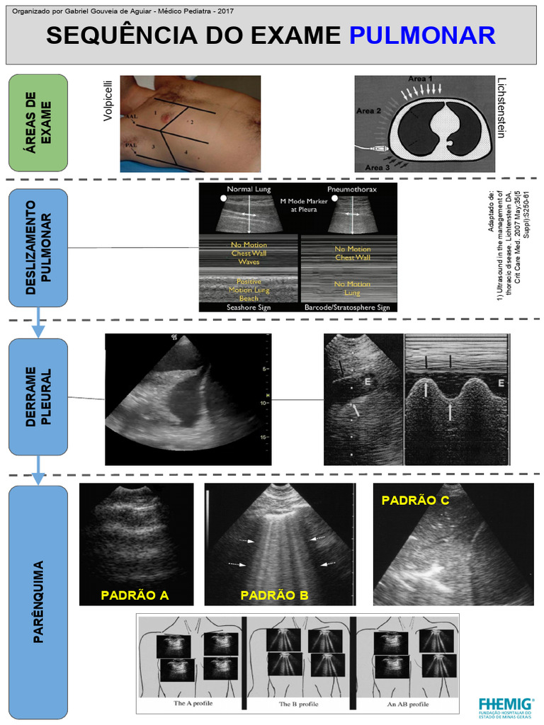 Protocolo BLUE: Exame Pulmonar por Ultrassom | PDF | Especialidades ...