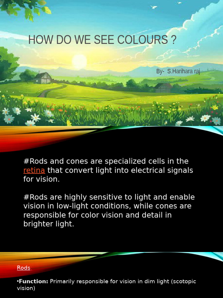 Understanding Color Vision and Blindness | PDF | Color | Visual Perception
