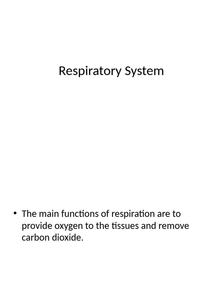 Introductio To Respiratory System & Mechanics of Ventilation | PDF ...