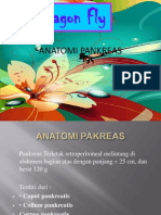 Anatomi Pankreas