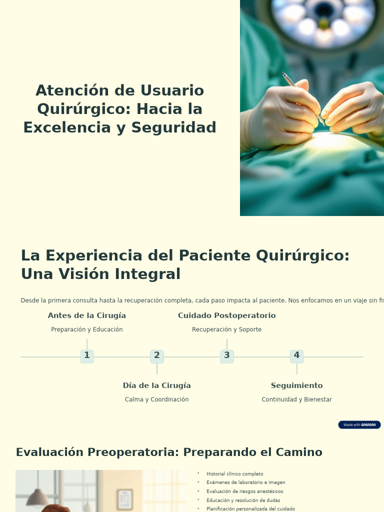 Atencion de Usuario Quirurgico Hacia La Excelencia y Seguridad | PDF ...