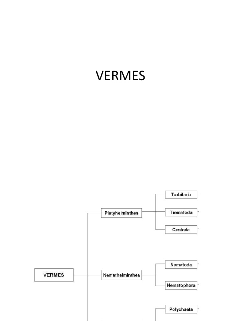 Ciri dan Klasifikasi Cacing Pipih Platyhelminthes | PDF