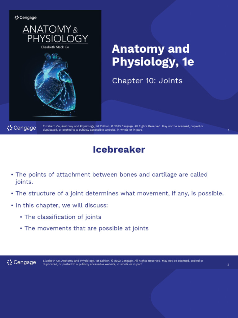 Joints: Structure and Function Overview | PDF | Anatomical Terms Of ...