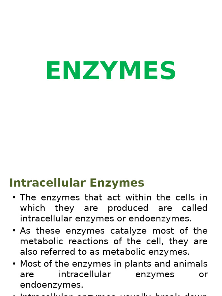 Intracellular Enzymes Overview | PDF | Digestion | Enzyme
