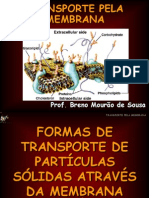 Aula 05_Transporte de Membrana