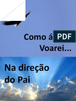 Asas para Deus