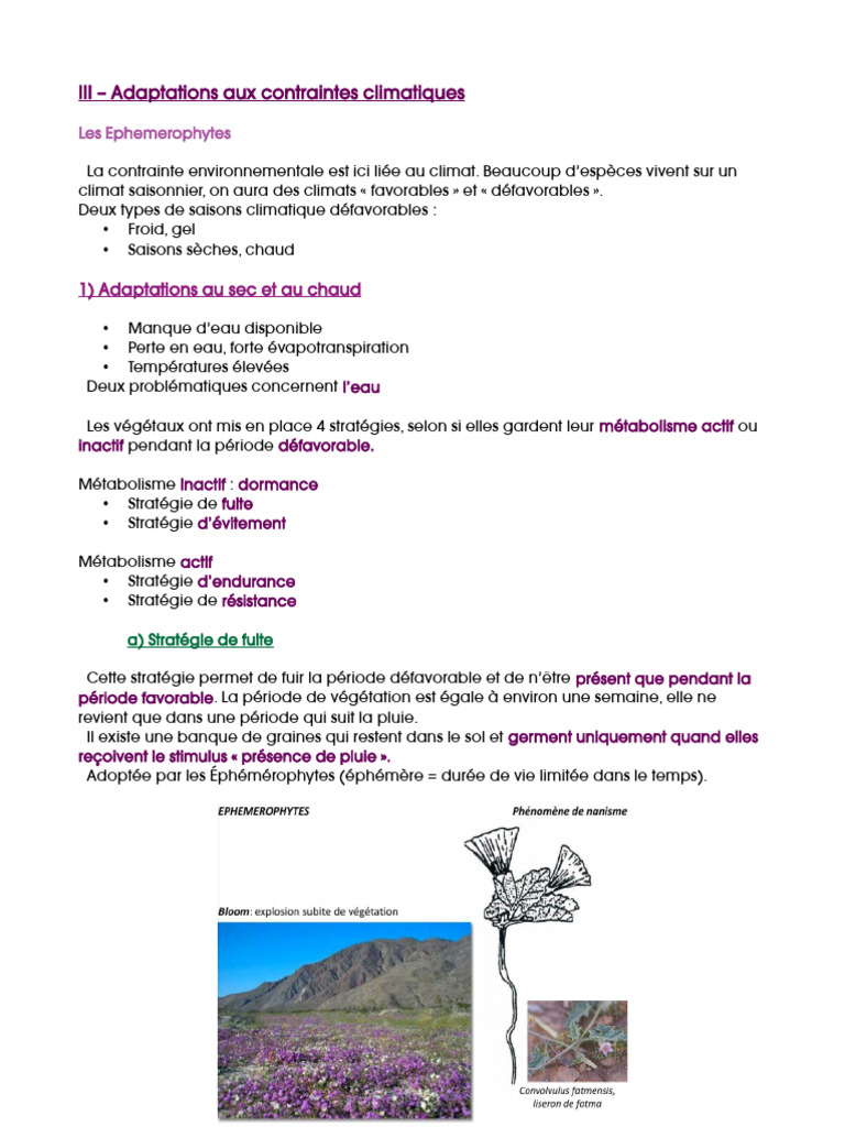 Adaptations des plantes au climat | PDF | Feuille | Plantes