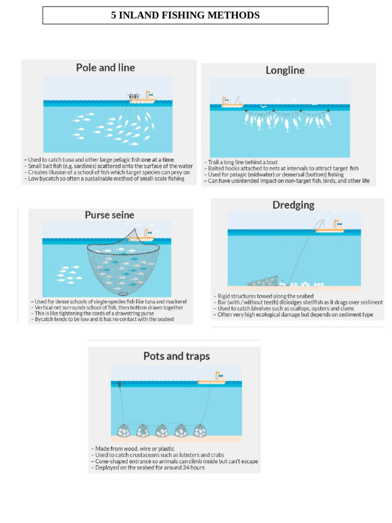 5 Fishing Methods | PDF