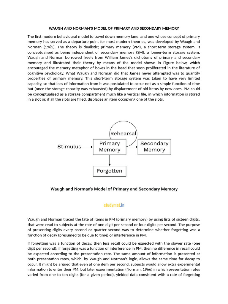Waugh and Norman's Memory Model Explained | PDF | Memory | Computer ...
