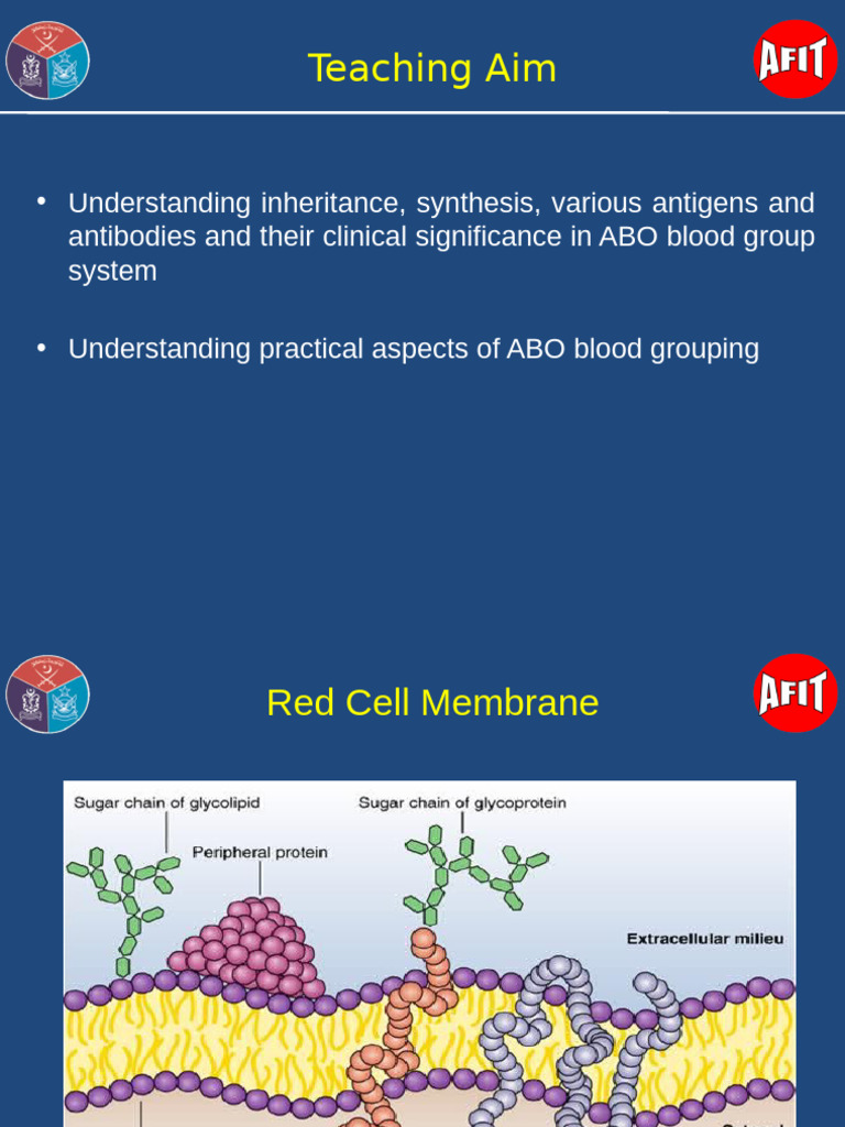 Afit Abo Blood Group | PDF | Blood Type | Tissue (Biology)