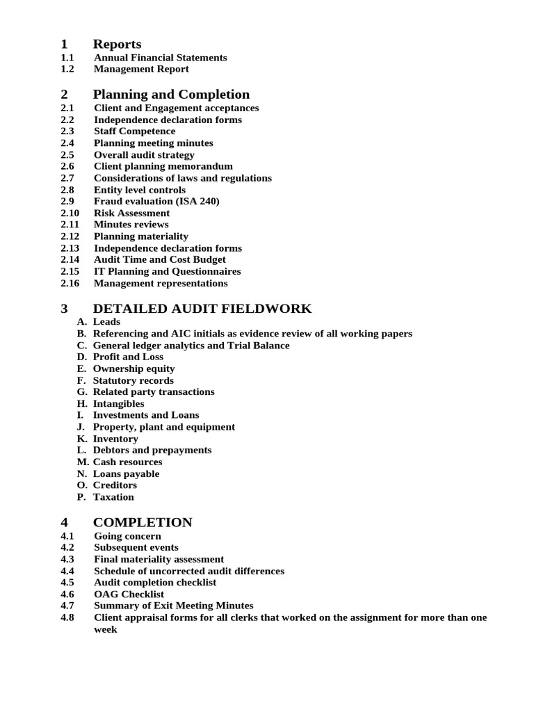 Audit File Index | PDF