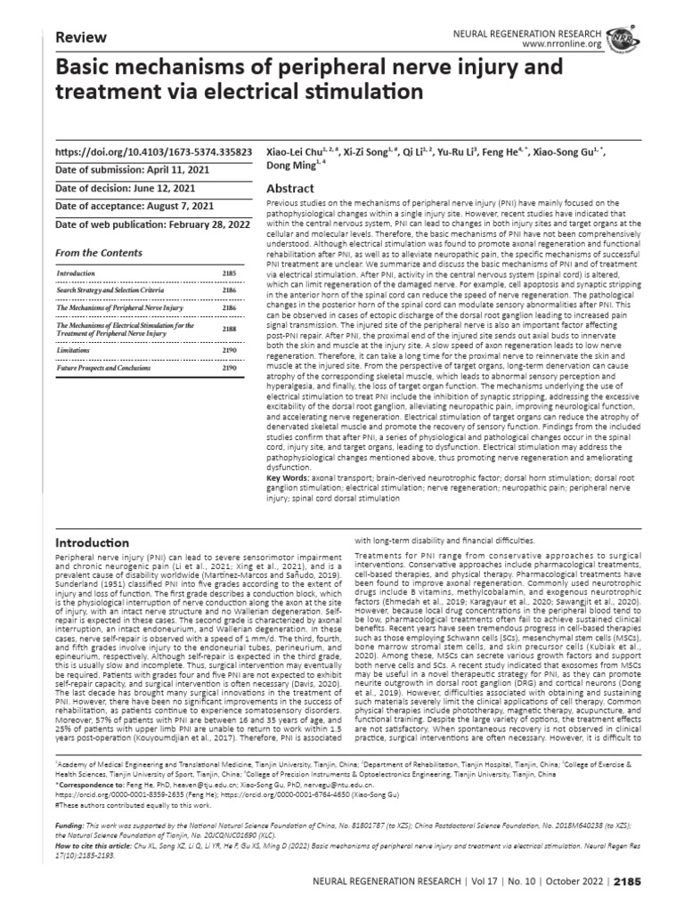 Mechanisms of Peripheral Nerve Injury | PDF | Axon | Nerve