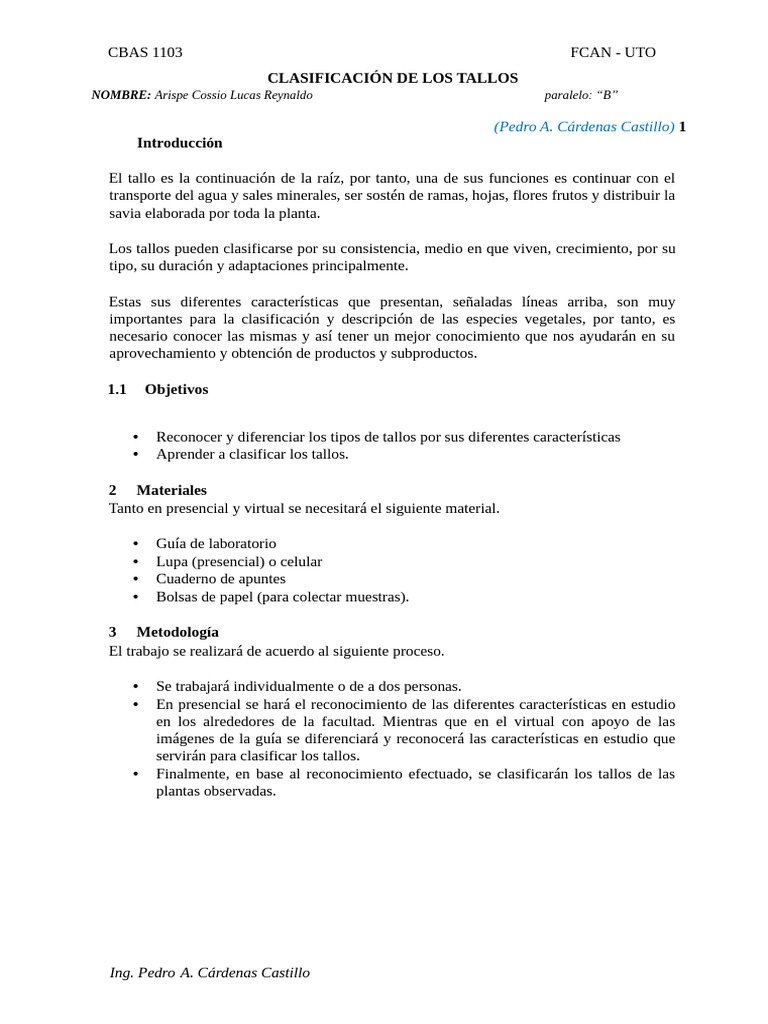 Clasificación de Tallos Vegetales | PDF | Tallo de la planta | Plantas