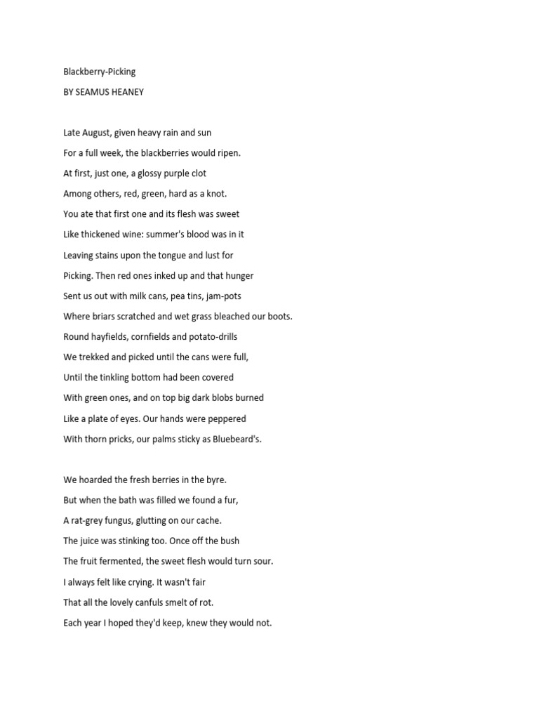 Heaney's Blackberry Picking Poem | PDF