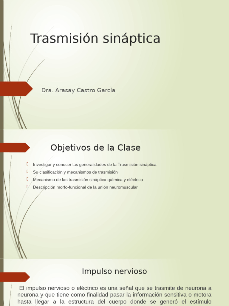 4-Trasmisión Sináptica | PDF | Sinapsis | Neurona