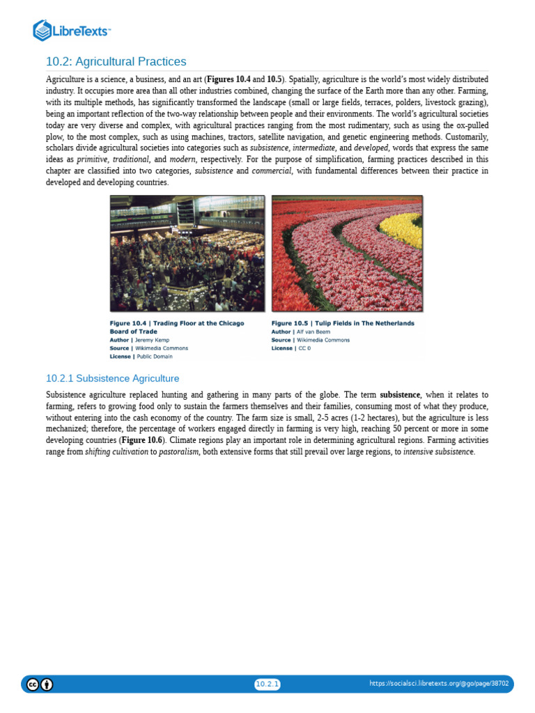 Overview of Agricultural Practices | PDF | Agriculture | Pastoralism
