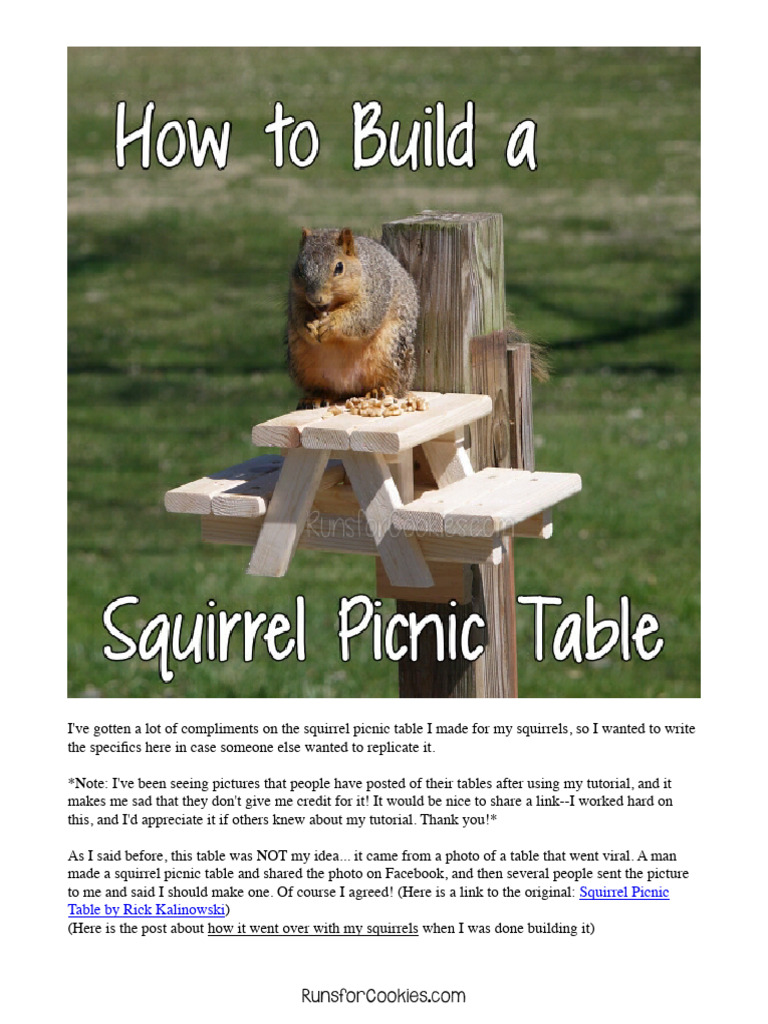 DIY Squirrel Picnic Table Tutorial | PDF
