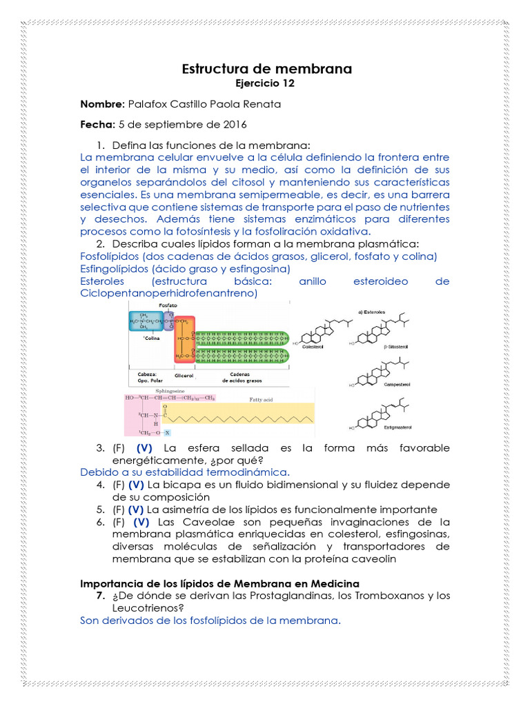 Funciones y Estructura de la Membrana Celular | PDF | Membrana celular ...