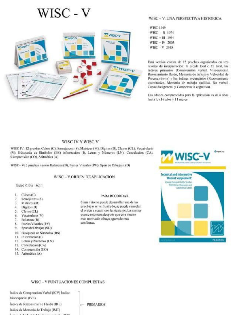 Wisc V Analisis e Interpretacion Del Wisc | PDF