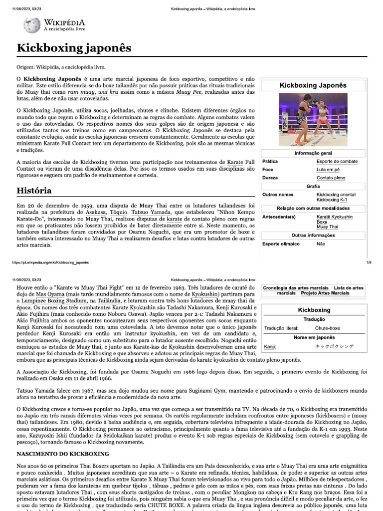 Kickboxing Japonês | PDF