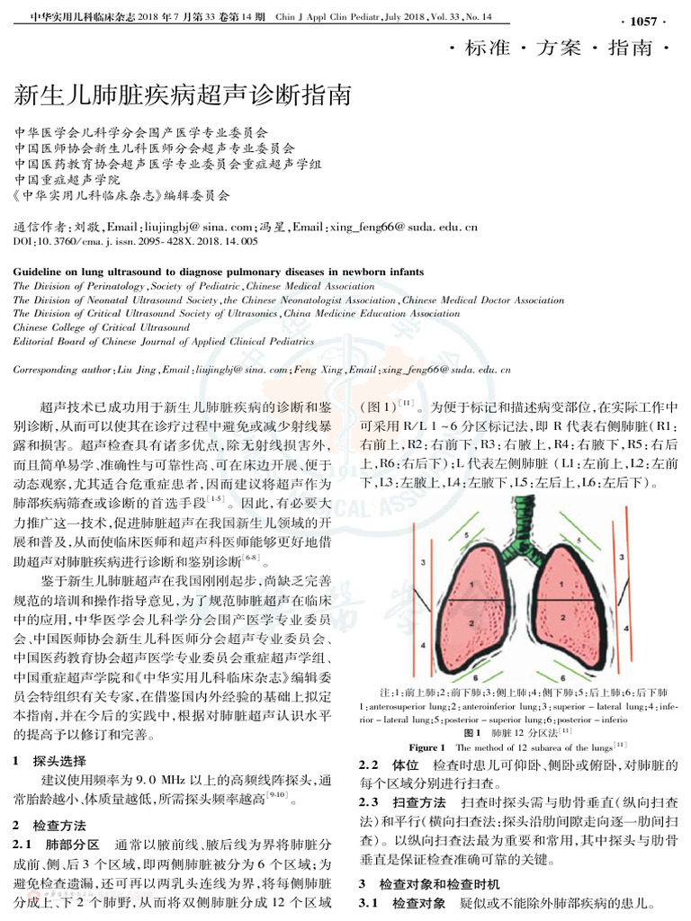 新生儿肺脏疾病超声诊断指南| PDF