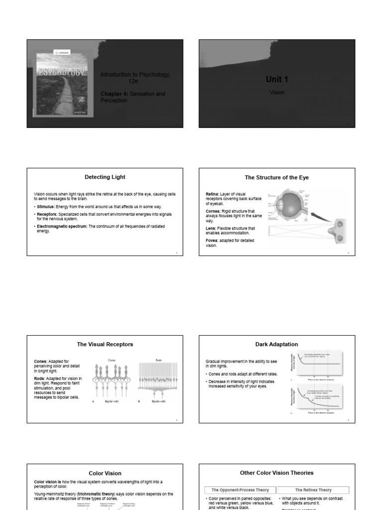 Sensation and Perception Overview | PDF | Senses | Visual Perception