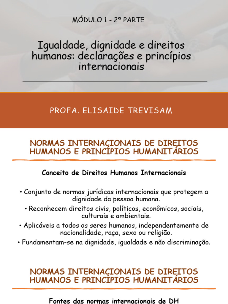 Normas e Princípios de Direitos Humanos | PDF | Direitos Humanos ...