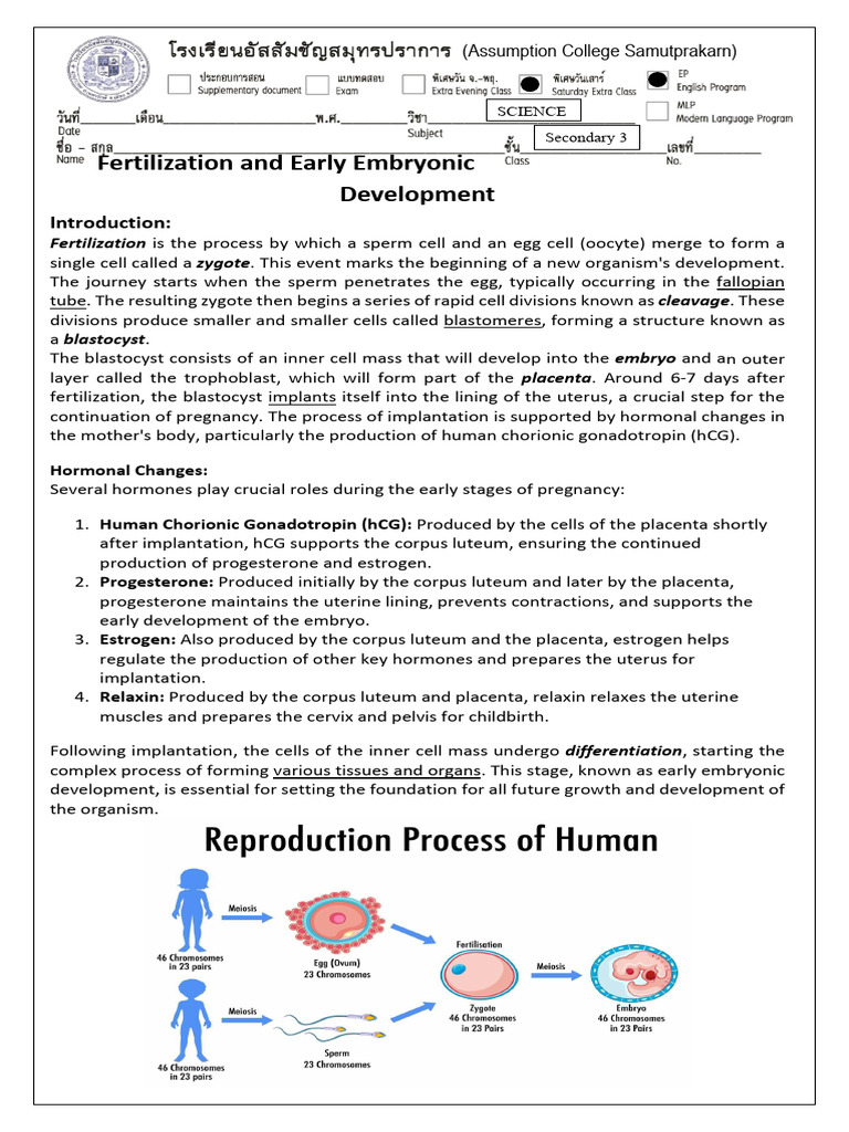 Fertilization and Embryonic Development Guide | PDF | Birth Control ...