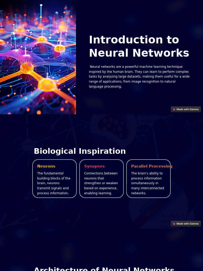 Understanding Neural Networks Basics | PDF | Computational Neuroscience ...
