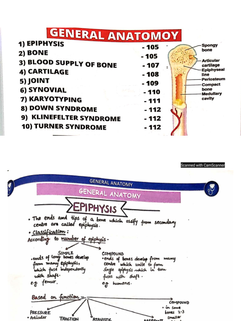 General Anatomy Notes (Johari Module) | PDF