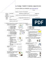 Actividades Ordenador Evolcion