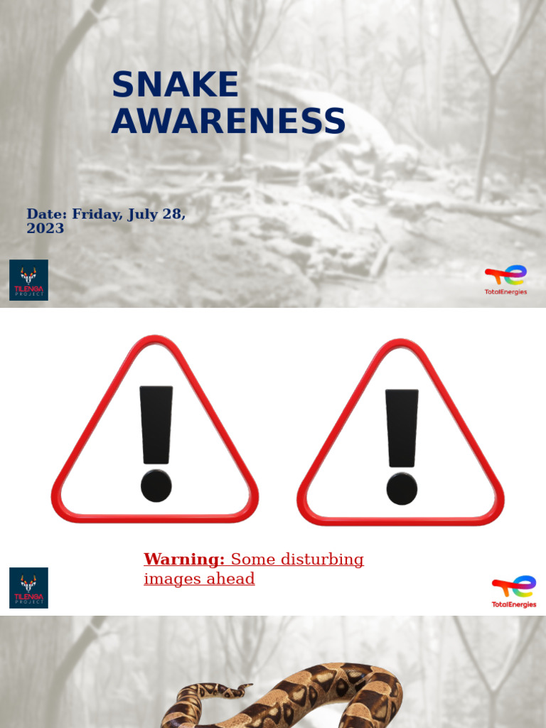 Snake Awareness and Safety Tips | PDF