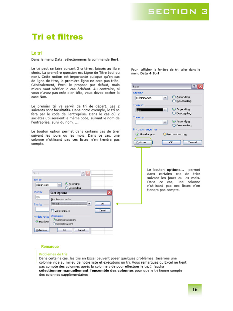 Tri et filtres dans Excel : Guide pratique | PDF | Microsoft Excel