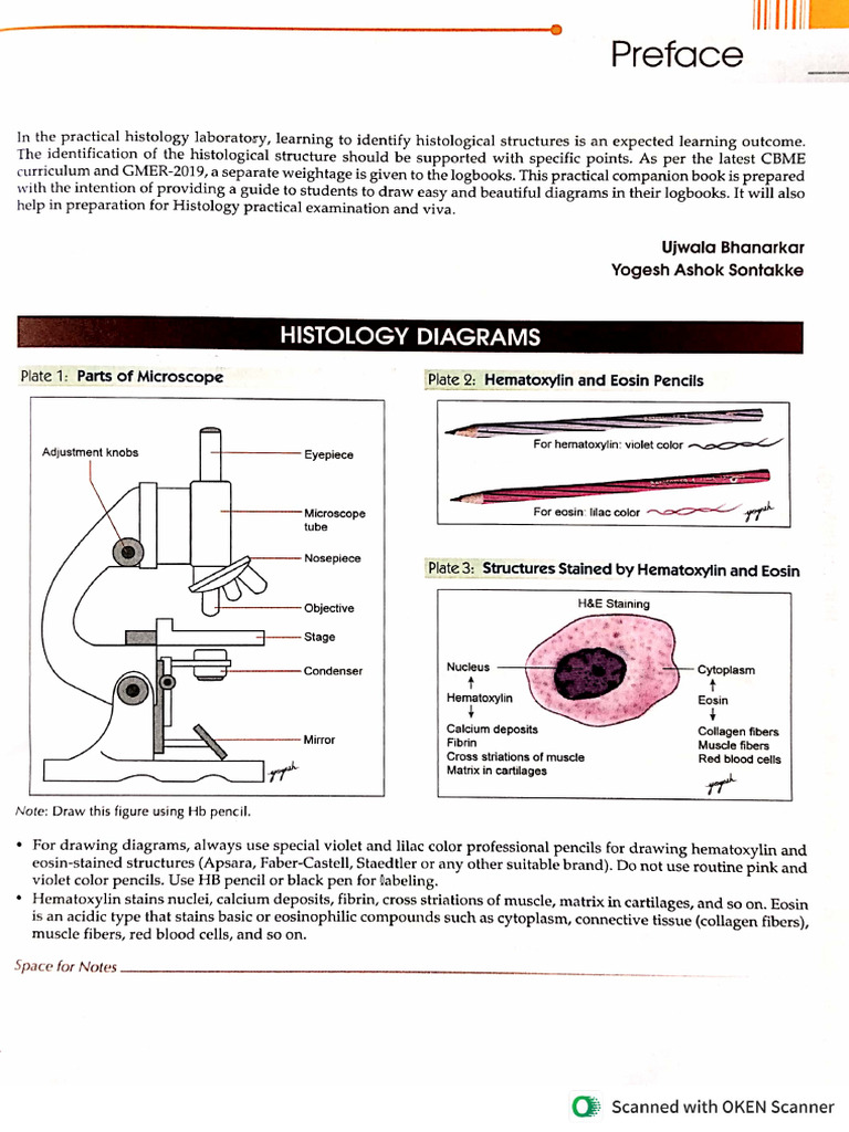 1st Year Histo Diagram | PDF